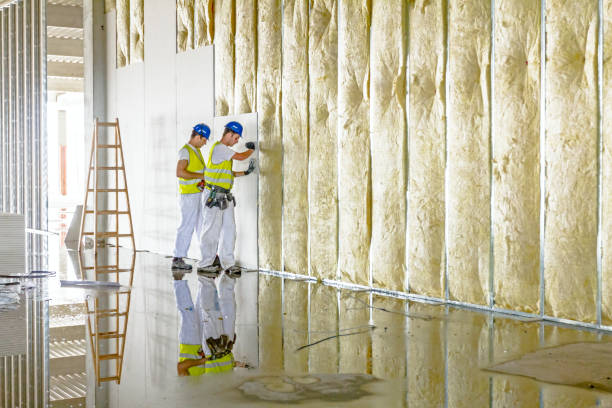 Best Residential Insulation in Upper Ack, NY